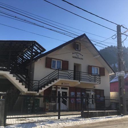 Pensiunea Morosanu Borşa Extérieur photo