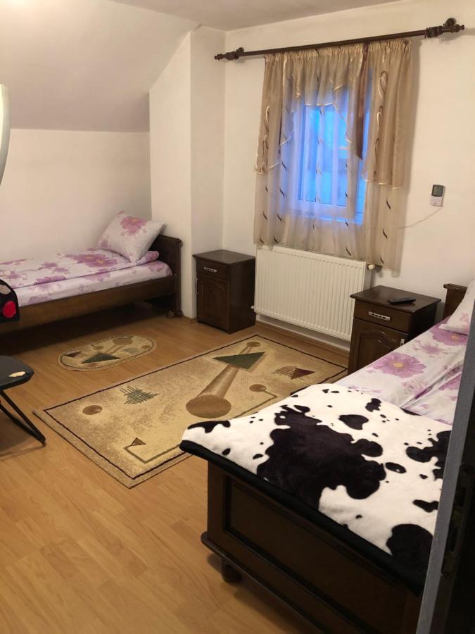 Pensiunea Morosanu Borşa Extérieur photo
