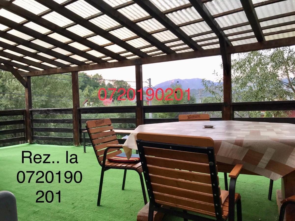 Pensiunea Morosanu Borşa Extérieur photo