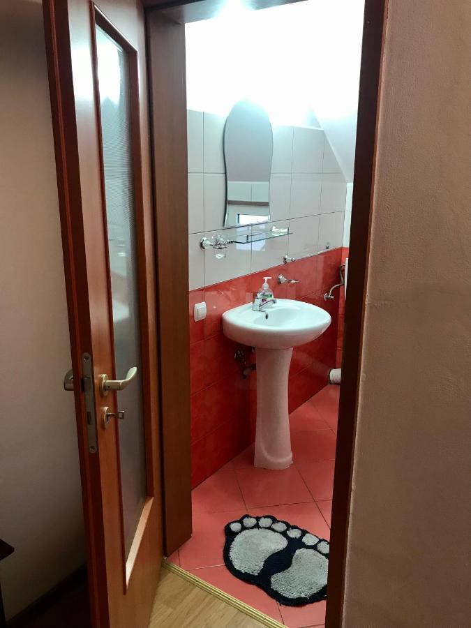 Pensiunea Morosanu Borşa Extérieur photo