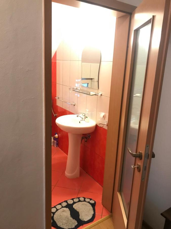 Pensiunea Morosanu Borşa Extérieur photo