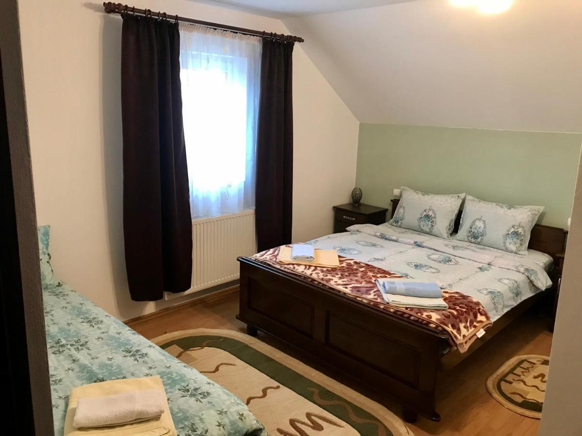 Pensiunea Morosanu Borşa Extérieur photo